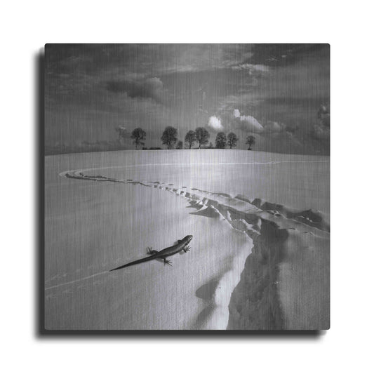 Luxe Metal Art 'Snowy Lizard' by Dariusz Klimczak, Metal Wall Art