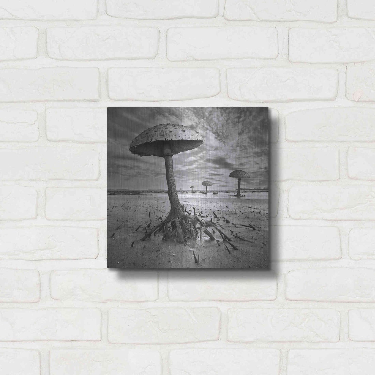 Luxe Metal Art 'Kanie' by Dariusz Klimczak, Metal Wall Art,12x12