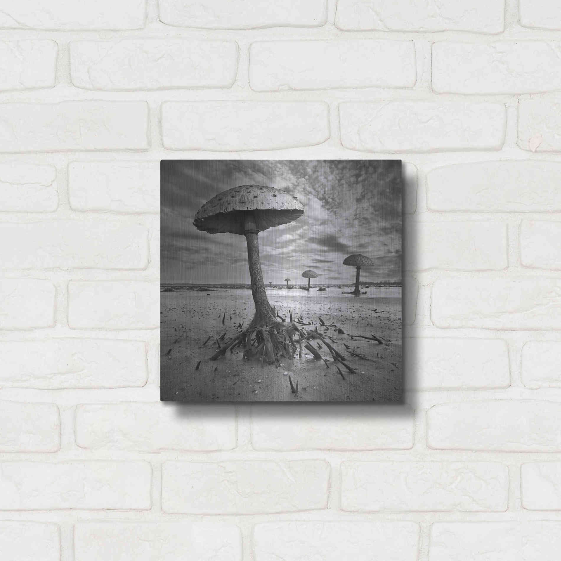 Luxe Metal Art 'Kanie' by Dariusz Klimczak, Metal Wall Art,12x12