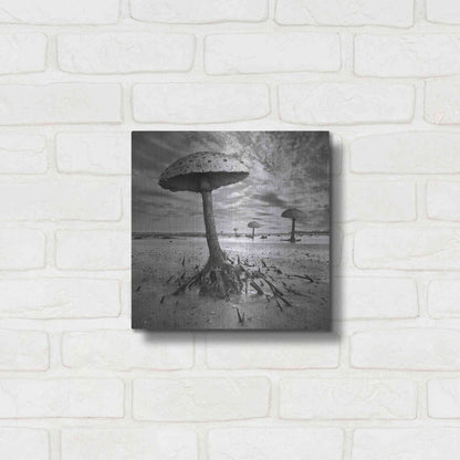 Luxe Metal Art 'Kanie' by Dariusz Klimczak, Metal Wall Art,12x12