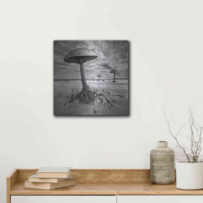 Luxe Metal Art 'Kanie' by Dariusz Klimczak, Metal Wall Art,12x12