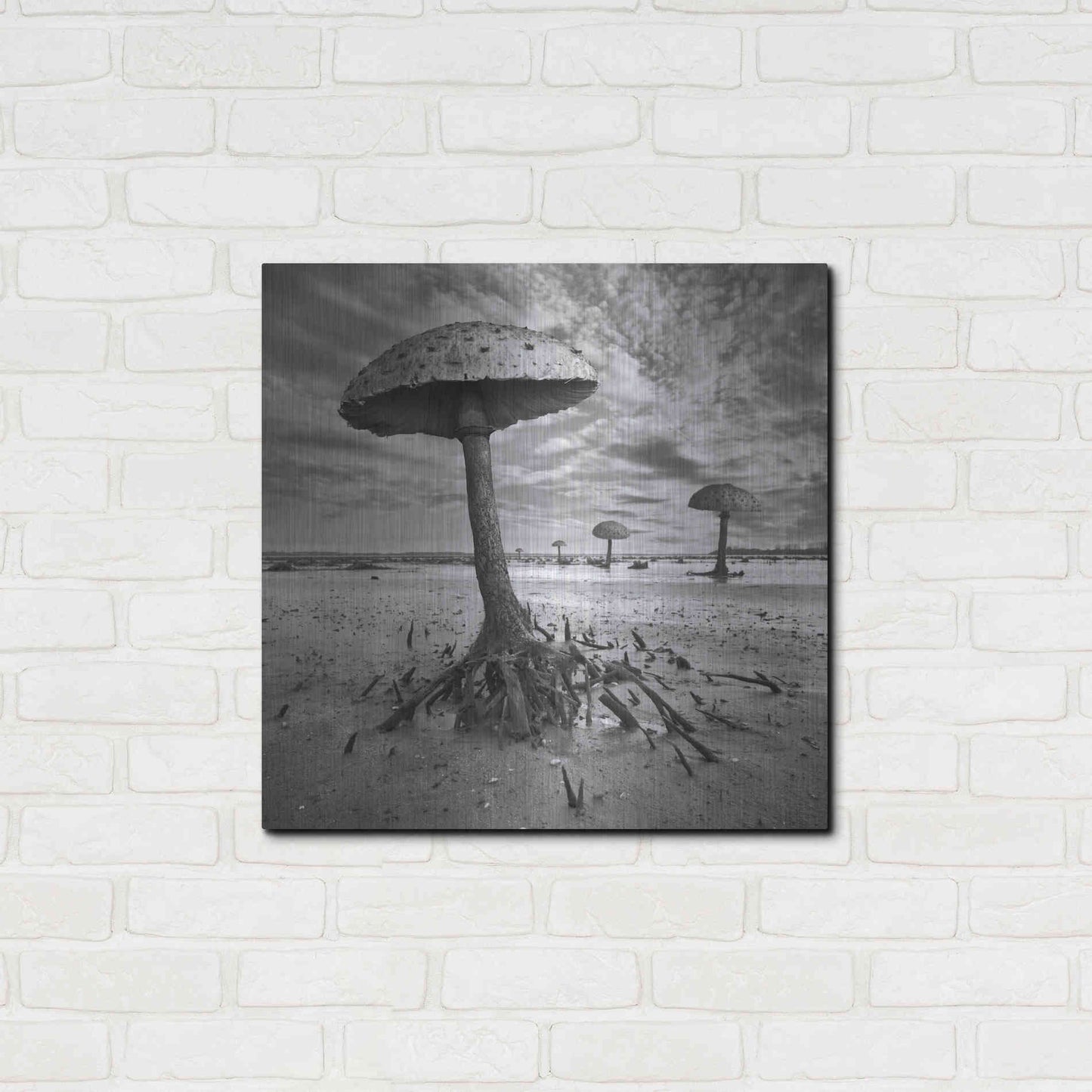 Luxe Metal Art 'Kanie' by Dariusz Klimczak, Metal Wall Art,24x24