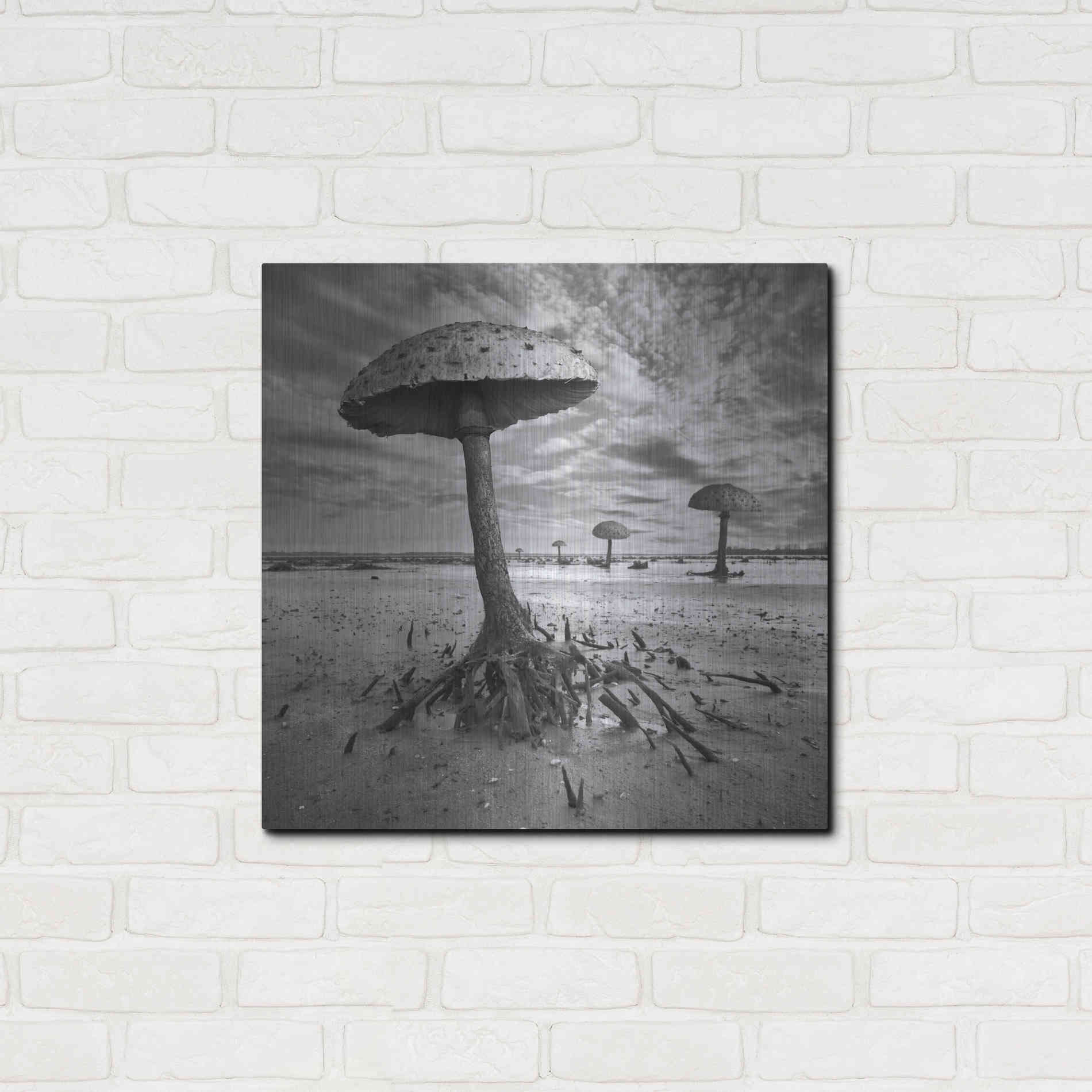 Luxe Metal Art 'Kanie' by Dariusz Klimczak, Metal Wall Art,24x24