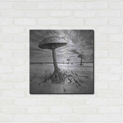 Luxe Metal Art 'Kanie' by Dariusz Klimczak, Metal Wall Art,24x24