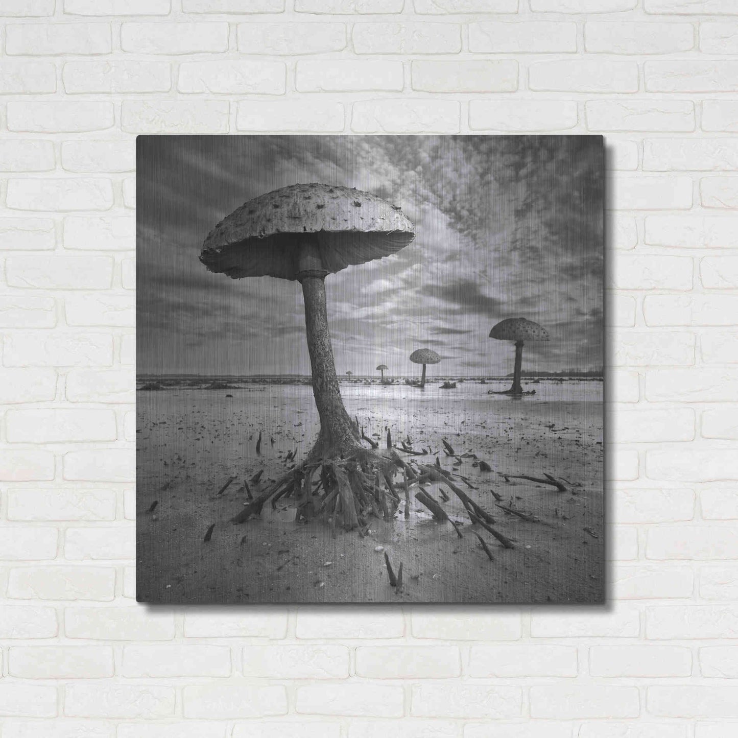 Luxe Metal Art 'Kanie' by Dariusz Klimczak, Metal Wall Art,36x36