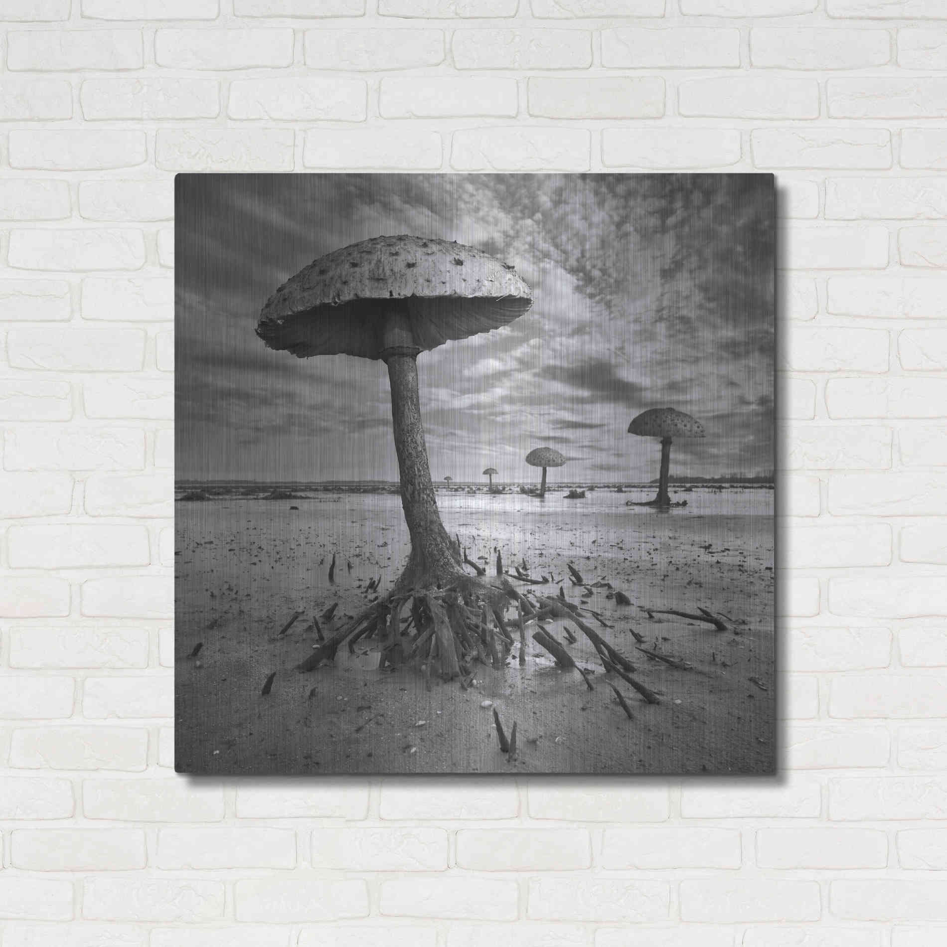 Luxe Metal Art 'Kanie' by Dariusz Klimczak, Metal Wall Art,36x36