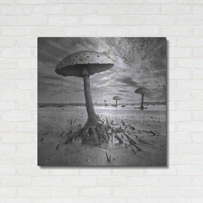 Luxe Metal Art 'Kanie' by Dariusz Klimczak, Metal Wall Art,36x36