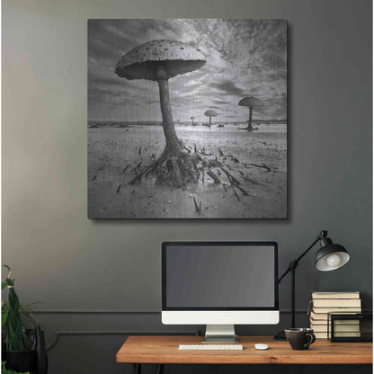 Luxe Metal Art 'Kanie' by Dariusz Klimczak, Metal Wall Art,36x36