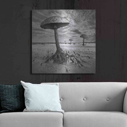 Luxe Metal Art 'Kanie' by Dariusz Klimczak, Metal Wall Art,36x36