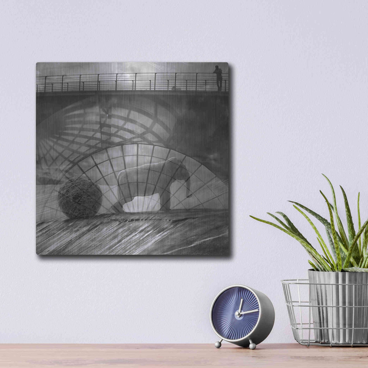 Luxe Metal Art 'Kingandi' by Dariusz Klimczak, Metal Wall Art,12x12