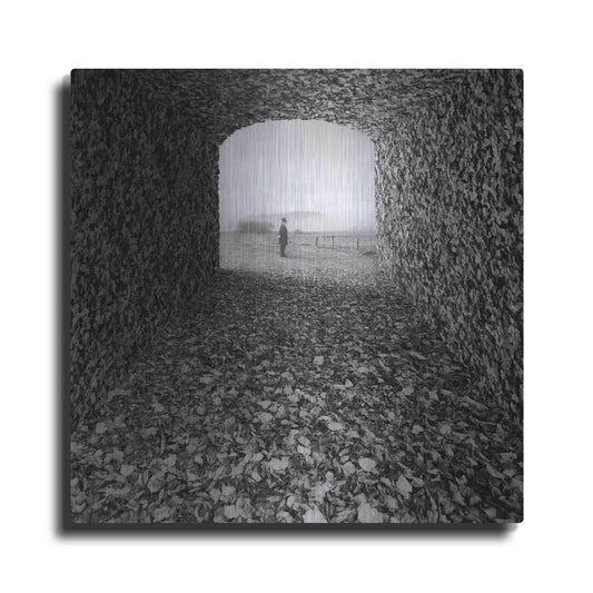 Luxe Metal Art 'Labyrinth' by Dariusz Klimczak, Metal Wall Art