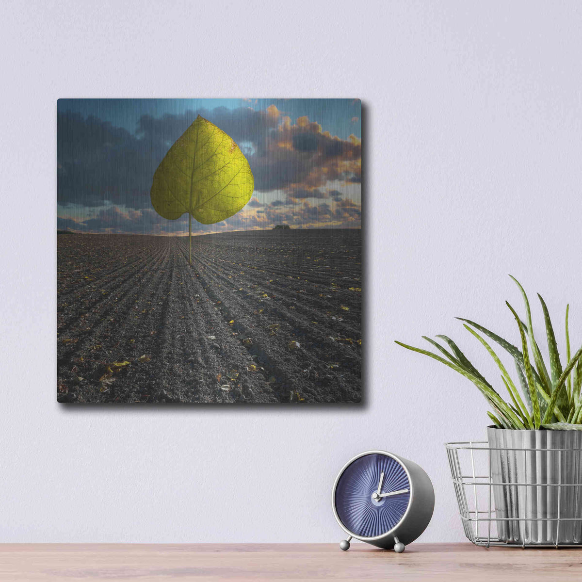 Luxe Metal Art 'Listen to Listek' by Dariusz Klimczak, Metal Wall Art,12x12