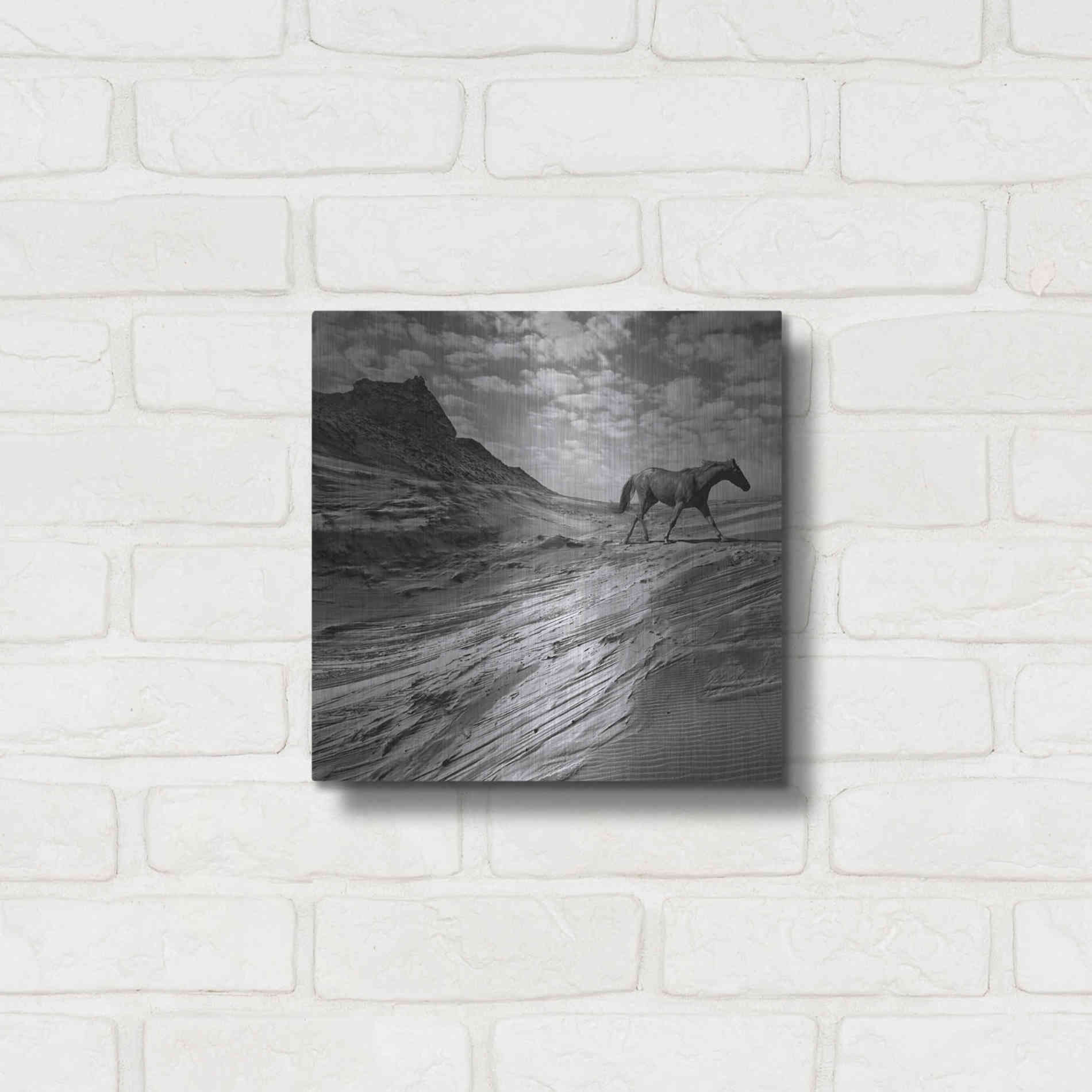 Luxe Metal Art 'Mustang Mountain' by Dariusz Klimczak, Metal Wall Art,12x12