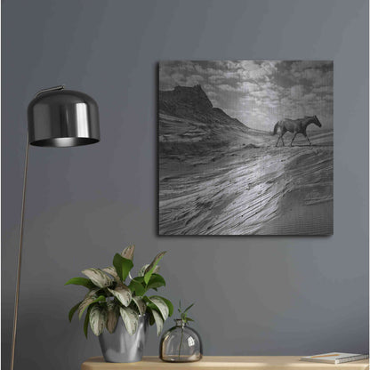 Luxe Metal Art 'Mustang Mountain' by Dariusz Klimczak, Metal Wall Art,24x24