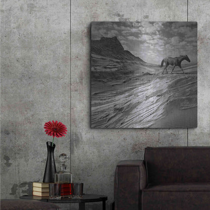 Luxe Metal Art 'Mustang Mountain' by Dariusz Klimczak, Metal Wall Art,36x36