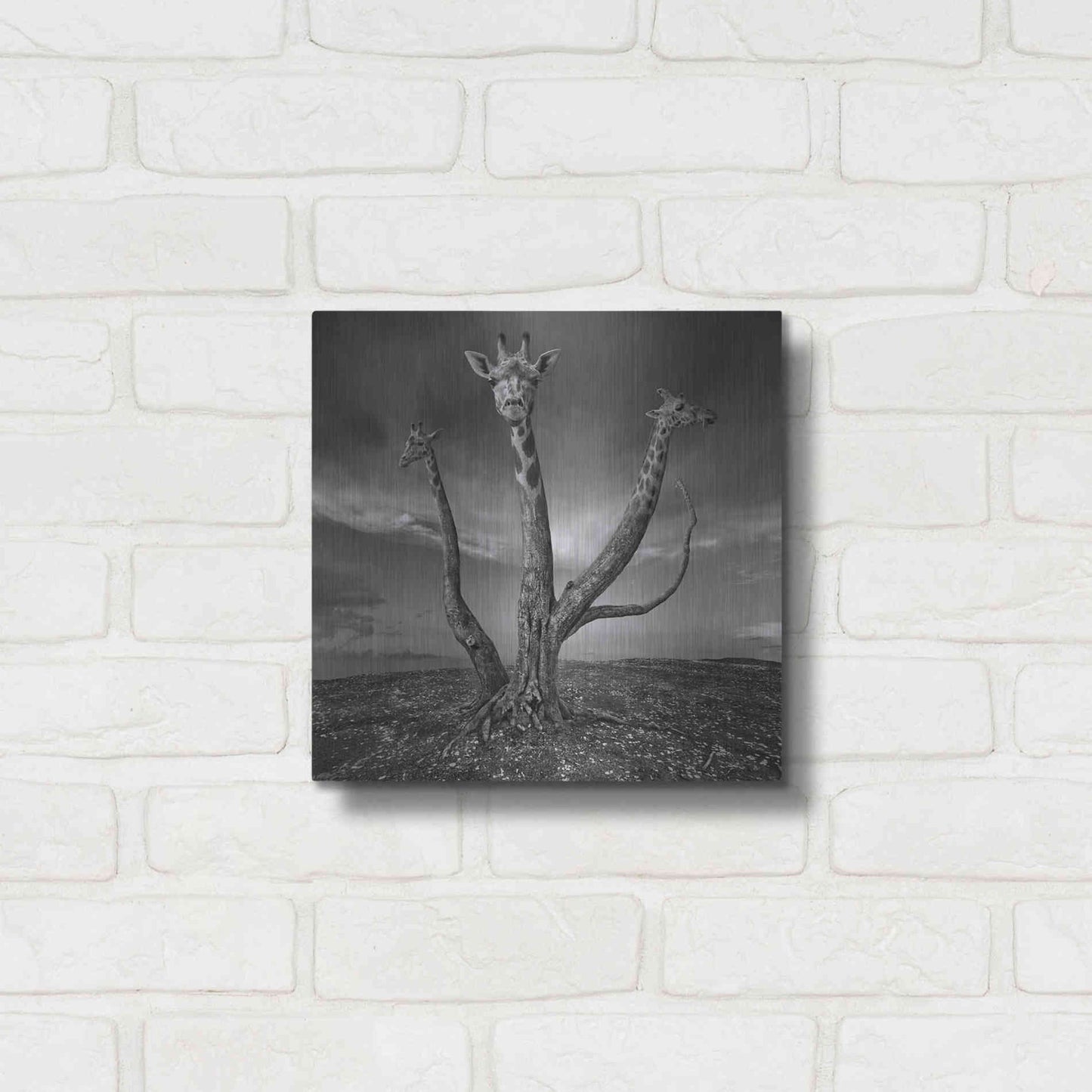 Luxe Metal Art 'Giratree' by Dariusz Klimczak, Metal Wall Art,12x12