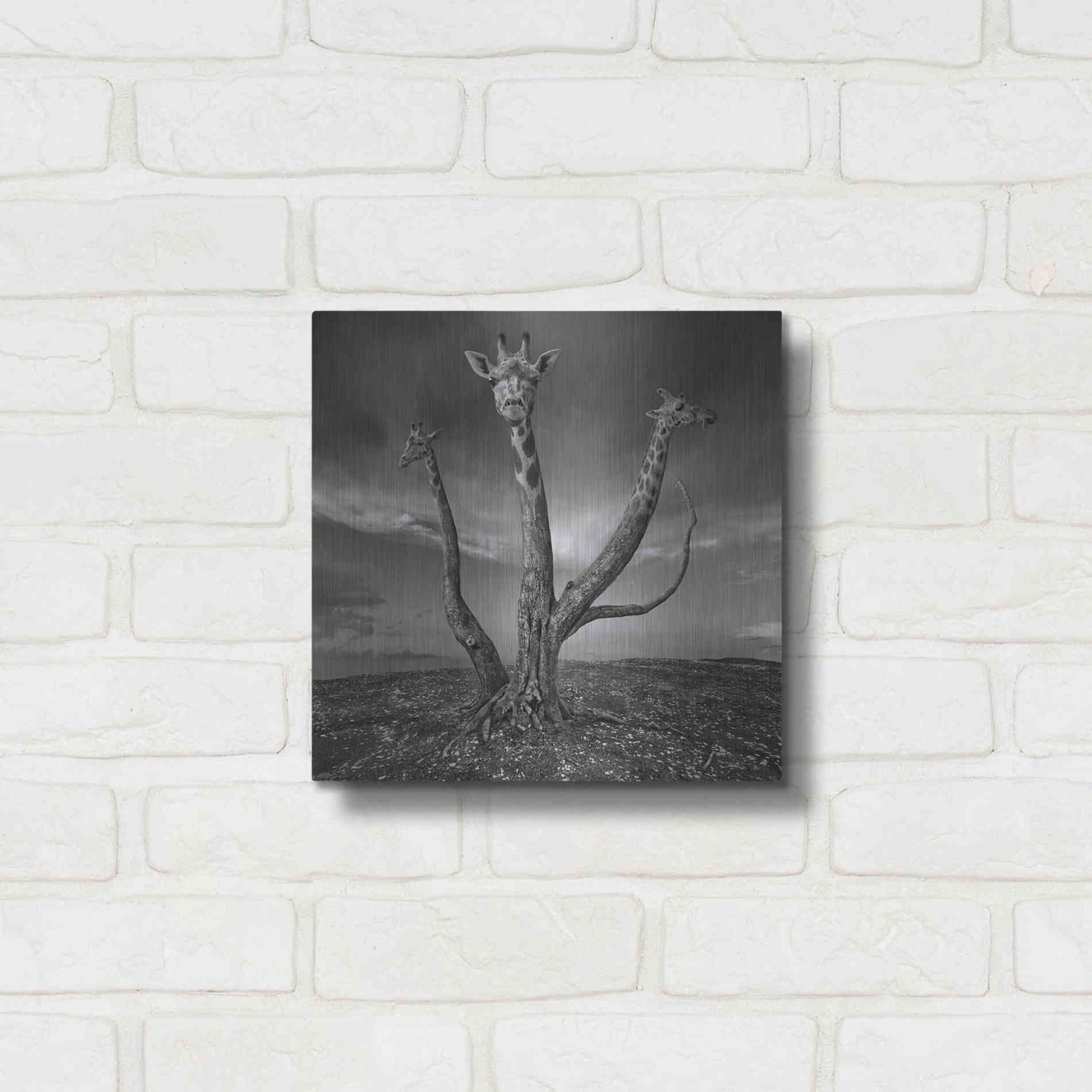 Luxe Metal Art 'Giratree' by Dariusz Klimczak, Metal Wall Art,12x12