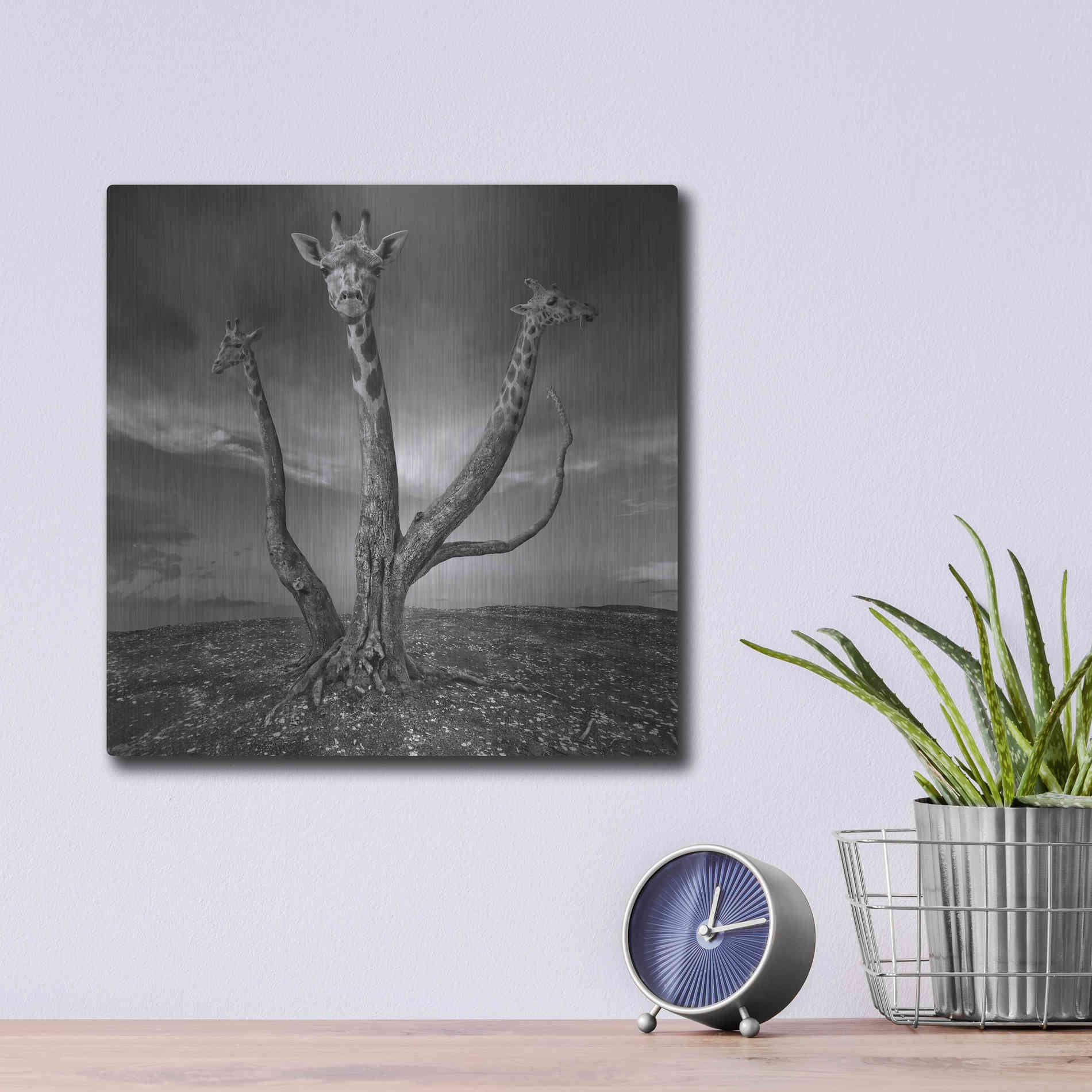 Luxe Metal Art 'Giratree' by Dariusz Klimczak, Metal Wall Art,12x12