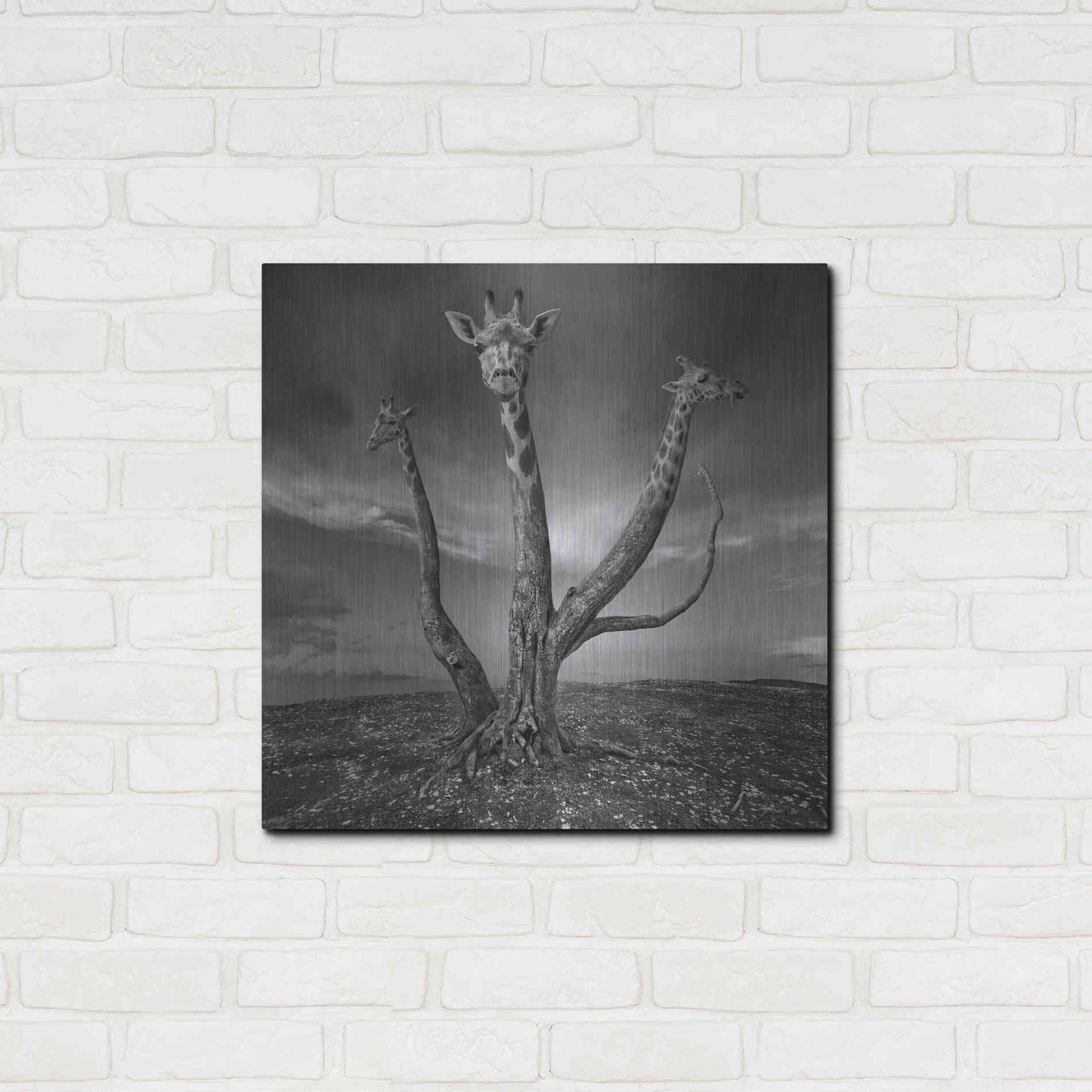 Luxe Metal Art 'Giratree' by Dariusz Klimczak, Metal Wall Art,24x24