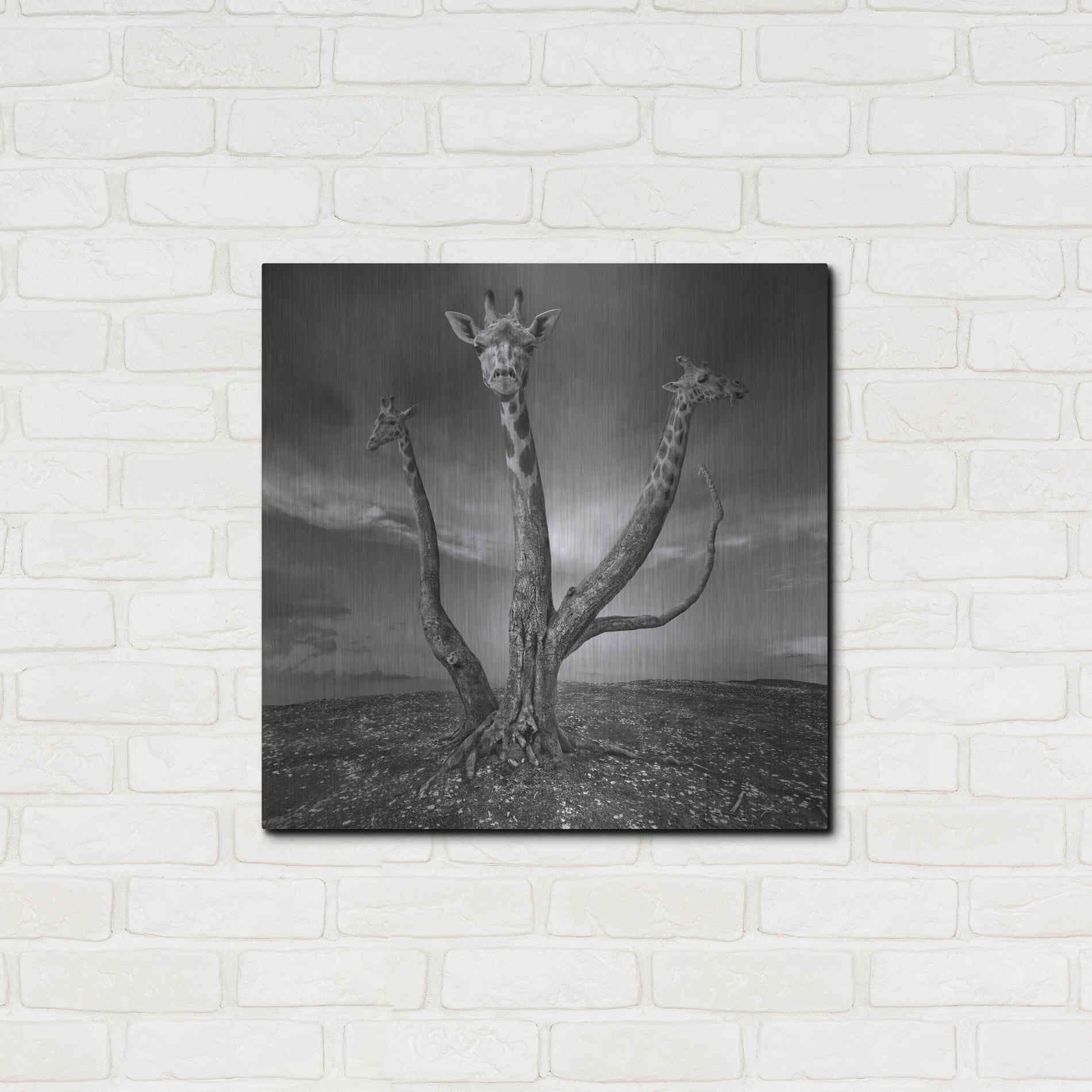 Luxe Metal Art 'Giratree' by Dariusz Klimczak, Metal Wall Art,24x24