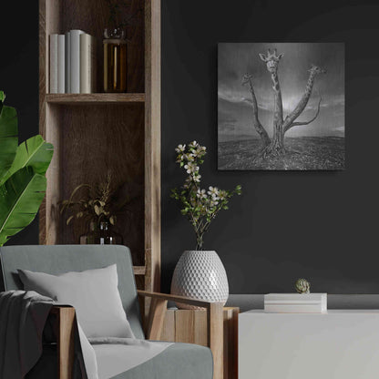 Luxe Metal Art 'Giratree' by Dariusz Klimczak, Metal Wall Art,24x24
