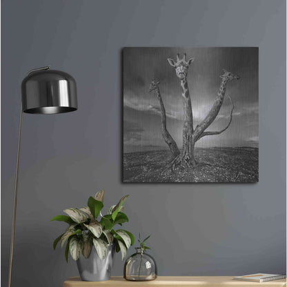 Luxe Metal Art 'Giratree' by Dariusz Klimczak, Metal Wall Art,24x24