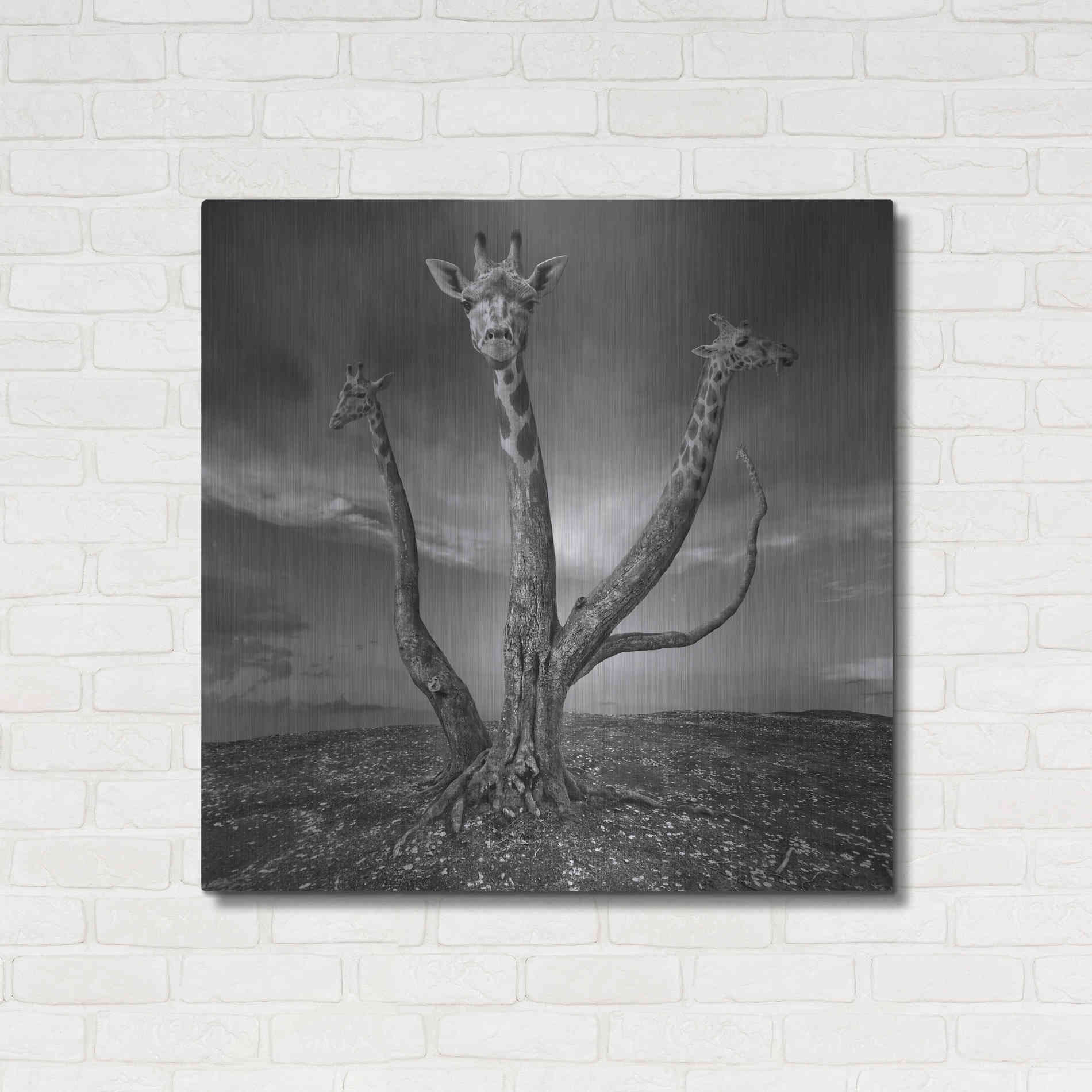Luxe Metal Art 'Giratree' by Dariusz Klimczak, Metal Wall Art,36x36