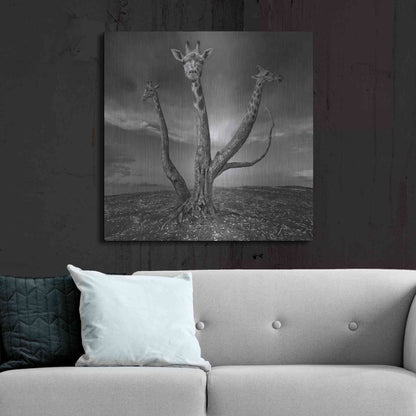 Luxe Metal Art 'Giratree' by Dariusz Klimczak, Metal Wall Art,36x36