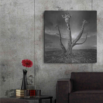 Luxe Metal Art 'Giratree' by Dariusz Klimczak, Metal Wall Art,36x36