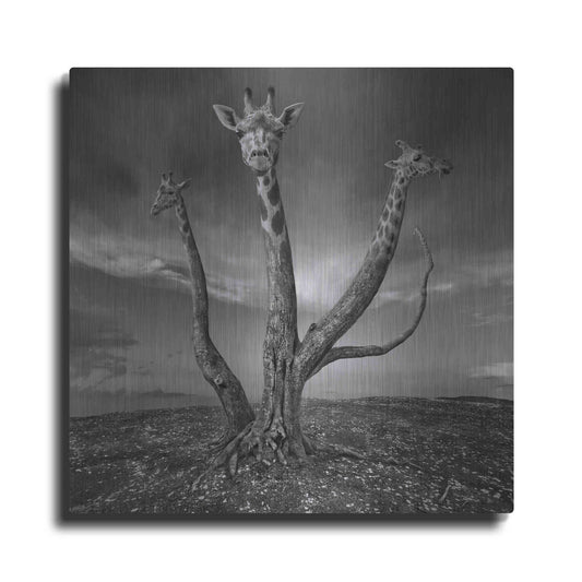 Luxe Metal Art 'Giratree' by Dariusz Klimczak, Metal Wall Art