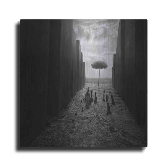 Luxe Metal Art 'Passageway' by Dariusz Klimczak, Metal Wall Art