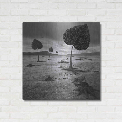 Luxe Metal Art 'PostEarth' by Dariusz Klimczak, Metal Wall Art,36x36