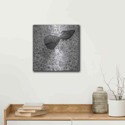 Luxe Metal Art 'Sumarum' by Dariusz Klimczak, Metal Wall Art,12x12