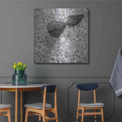 Luxe Metal Art 'Sumarum' by Dariusz Klimczak, Metal Wall Art,36x36